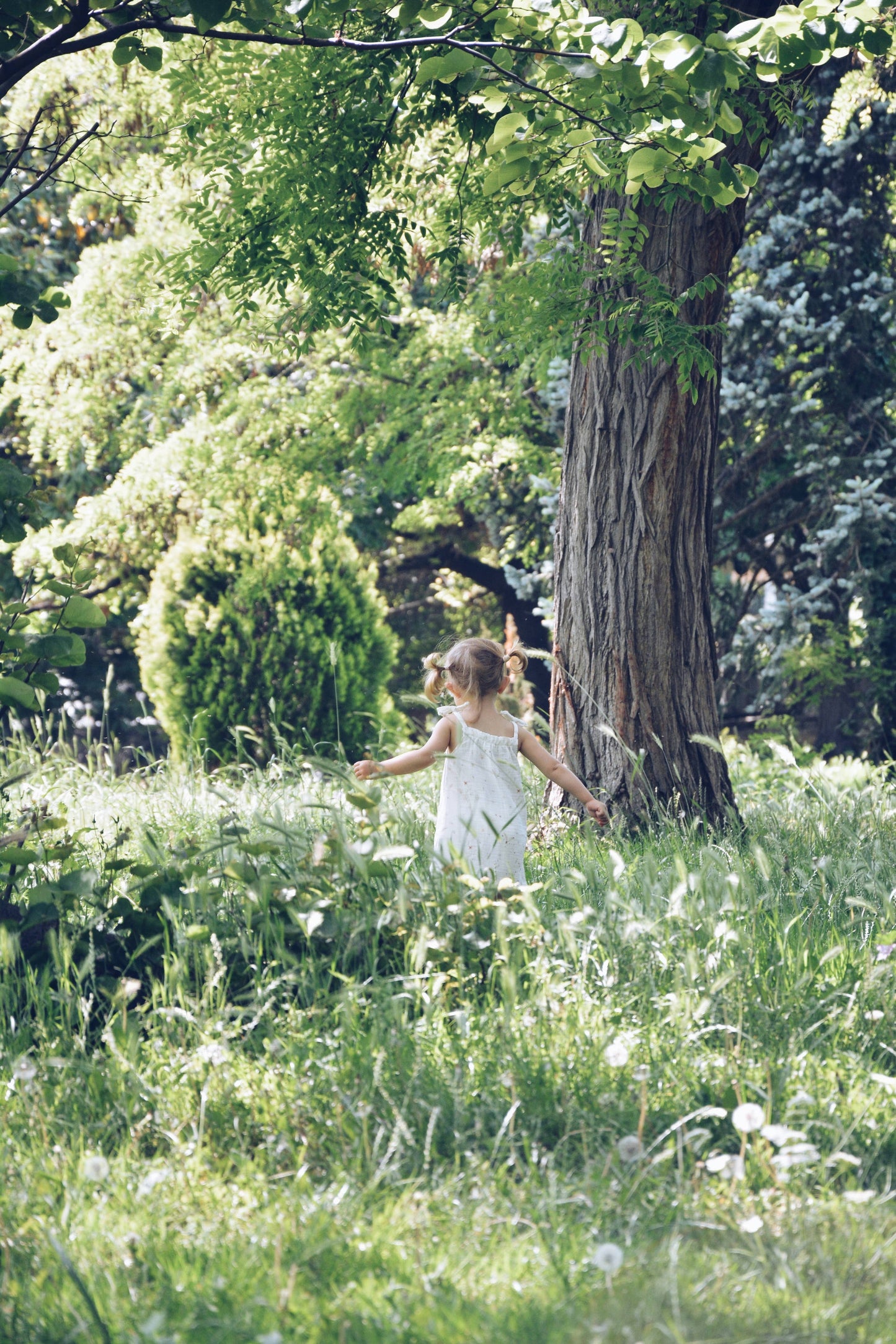 Toddler Wildflower Dress